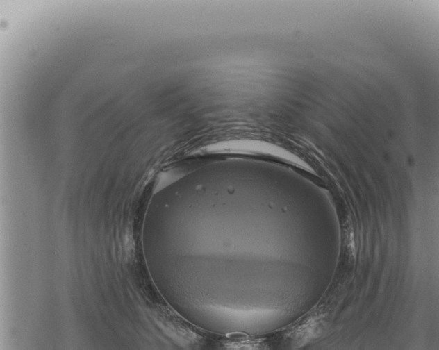 X0000068840516200605121410