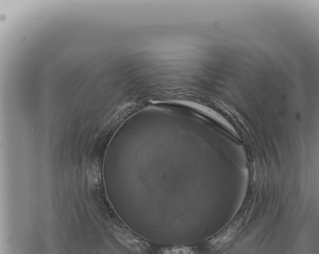 X0000068840517200605121410