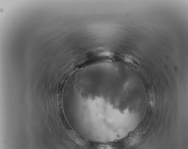 X0000068840519200605121410