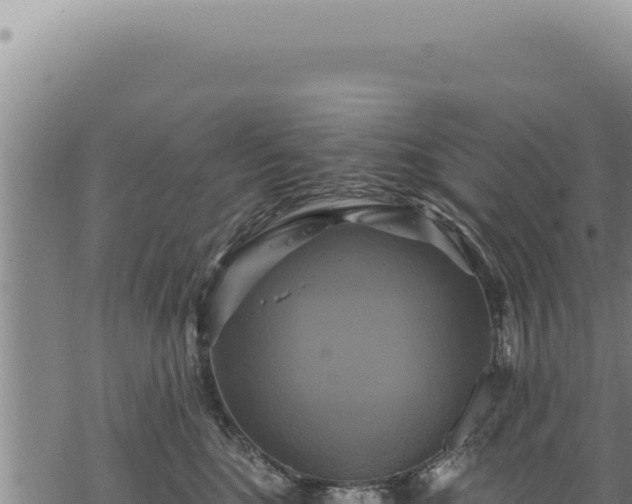 X0000068840520200605121410