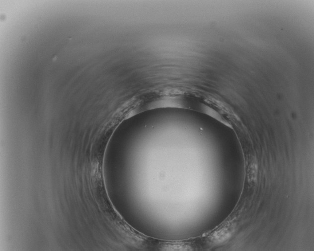 X0000068840521200605121410