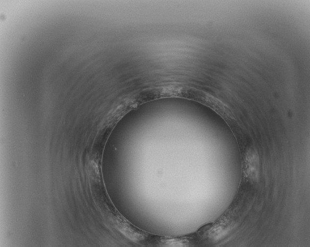 X0000068840522200605121410