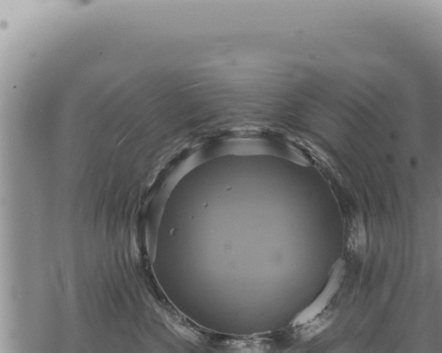 X0000068840524200605121410