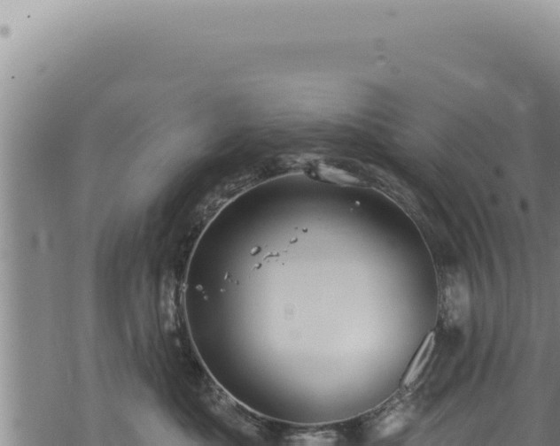 X0000068840525200605121410