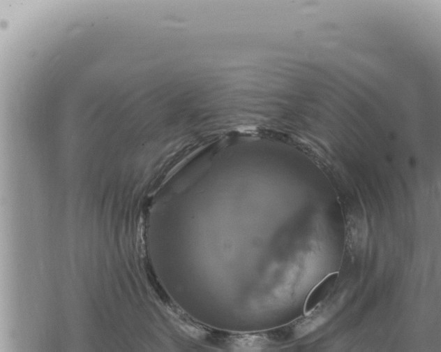 X0000068840527200605121410