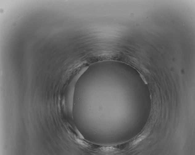 X0000068840528200605121410