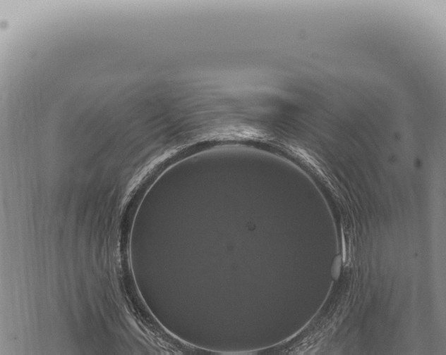 X0000068840531200605121409