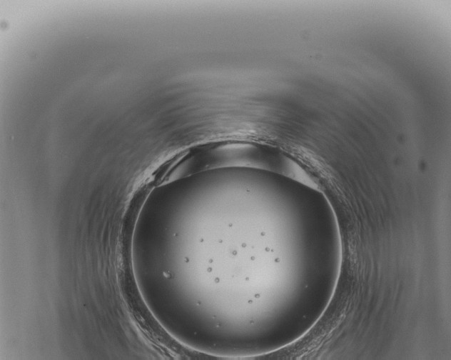 X0000068840532200605121409