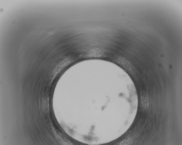 X0000068840534200605121409