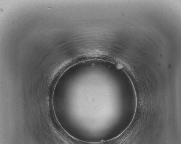 X0000068840535200605121409