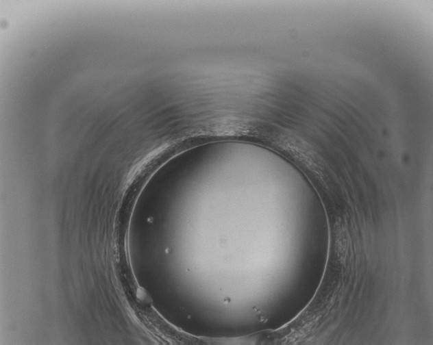 X0000068840536200605121409