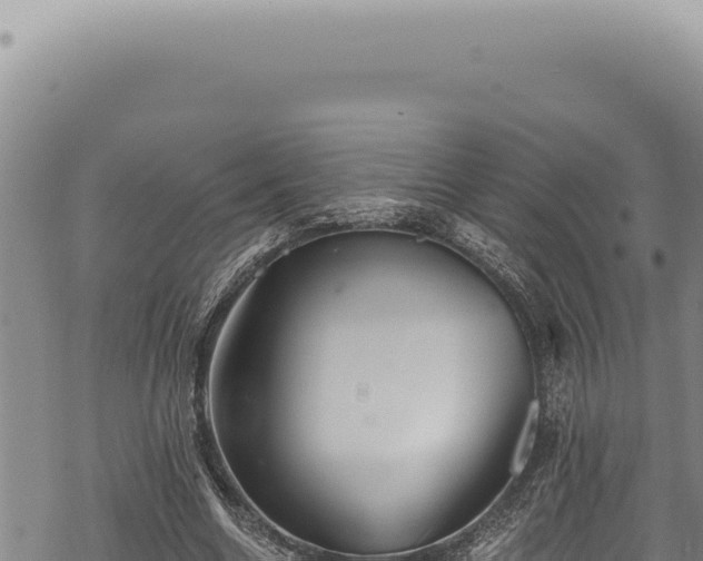 X0000068840538200605121409