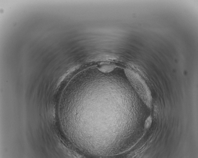 X0000068840539200605121409