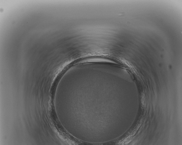 X0000068840540200605121409