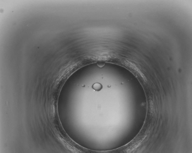 X0000068840541200605121409