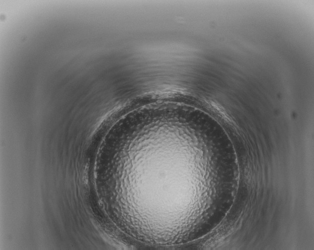 X0000068840543200605121409