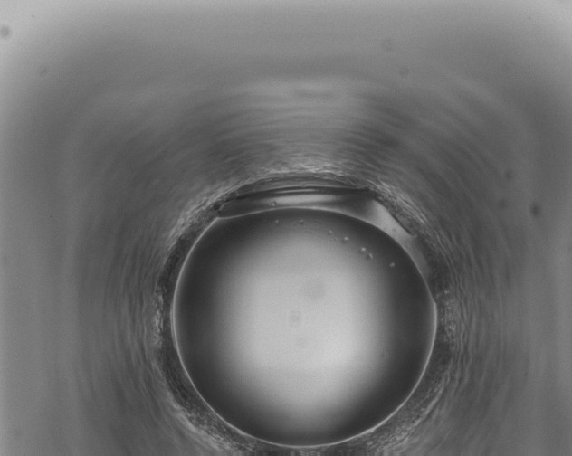 X0000068840544200605121409