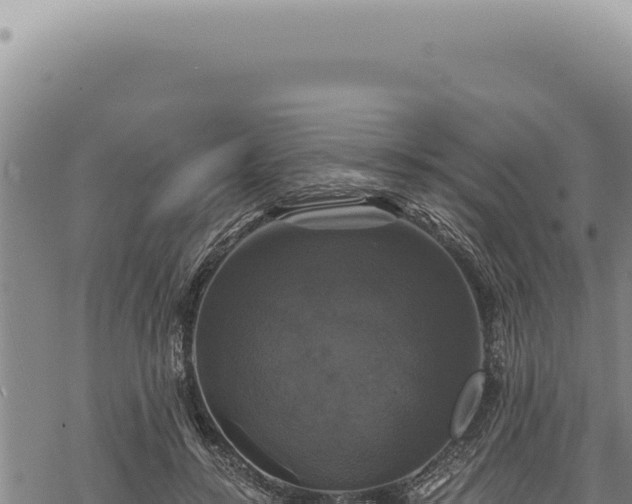 X0000068840547200605121409