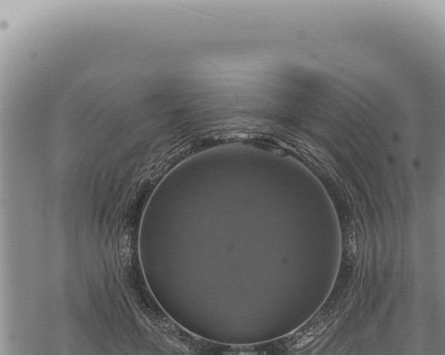 X0000068840551200605121409