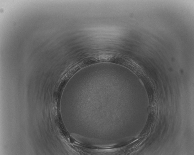 X0000068840552200605121409