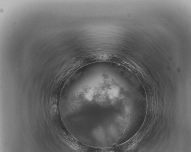 X0000068840553200605121409