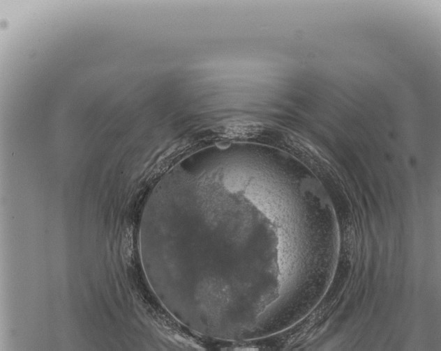 X0000068840554200605121409