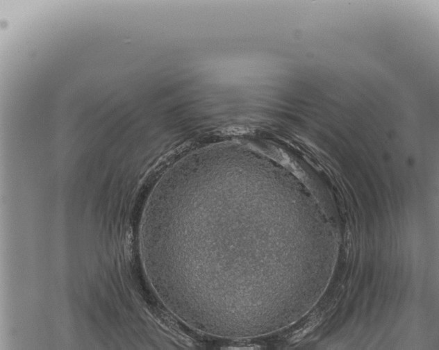 X0000068840556200605121409