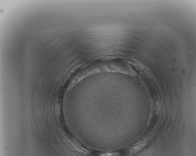 X0000068840558200605121409