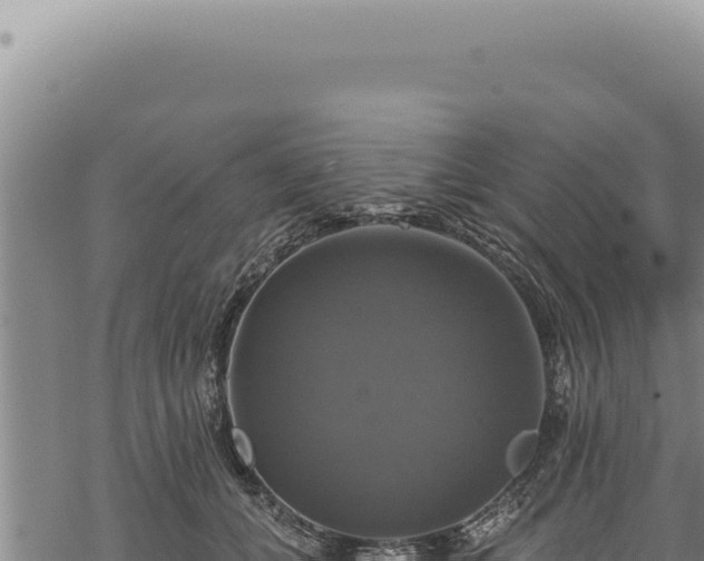 X0000068840559200605121409