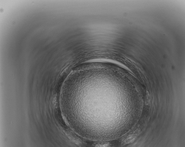 X0000068840560200605121409