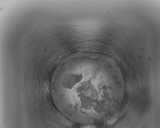 X0000068840561200605121409