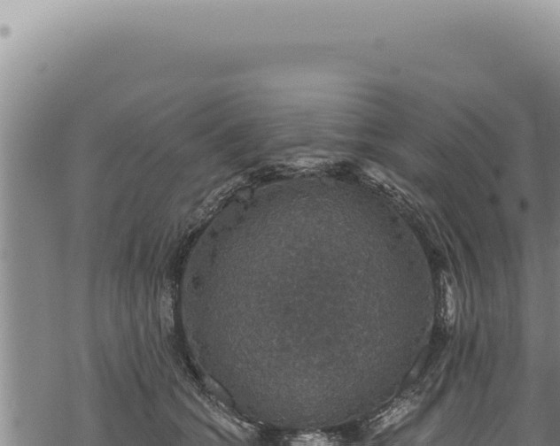 X0000068840562200605121409