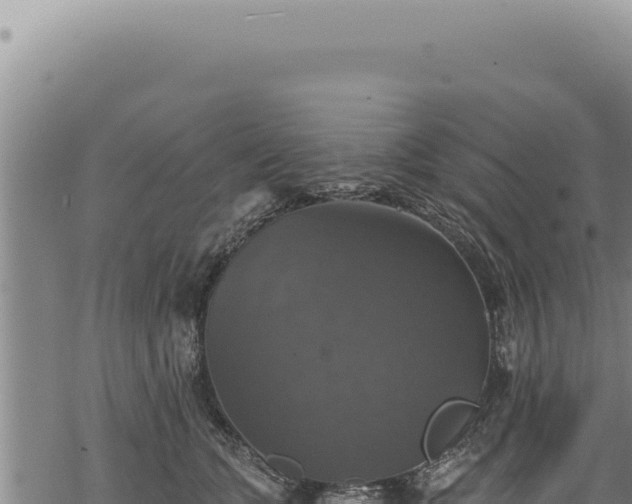 X0000068840563200605121409