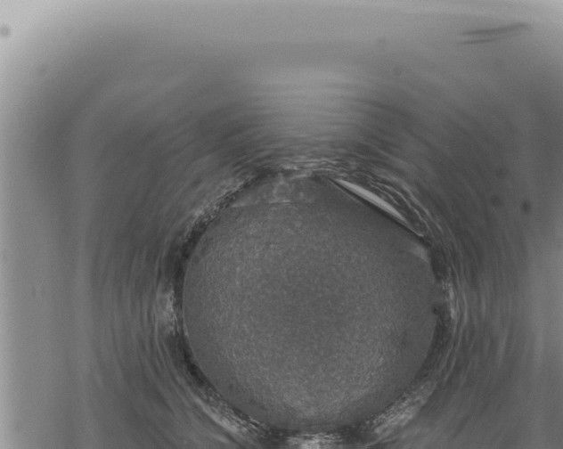 X0000068840564200605121409