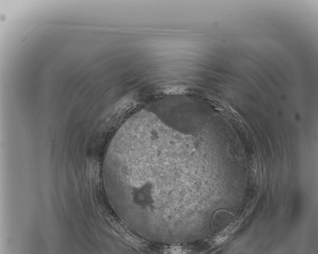 X0000068840565200605121409