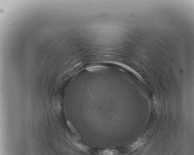 X0000068840566200605121409