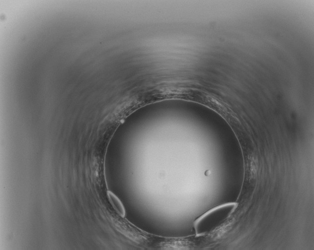 X0000068840567200605121409