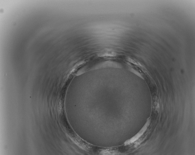 X0000068840568200605121409