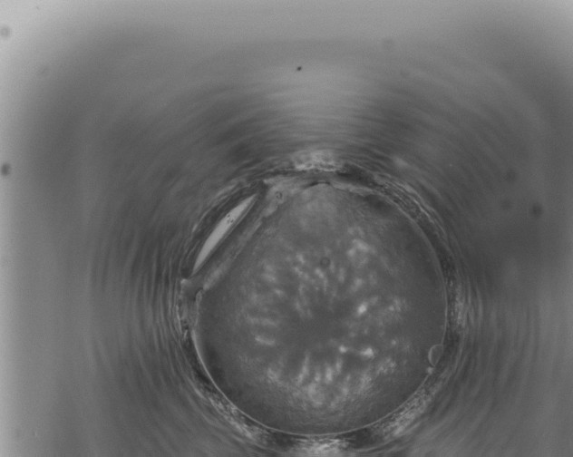 X0000068840569200605121409