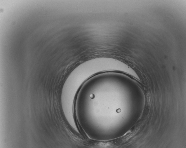 X0000068840570200605121409