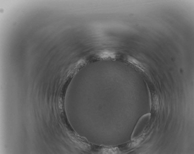 X0000068840571200605121410