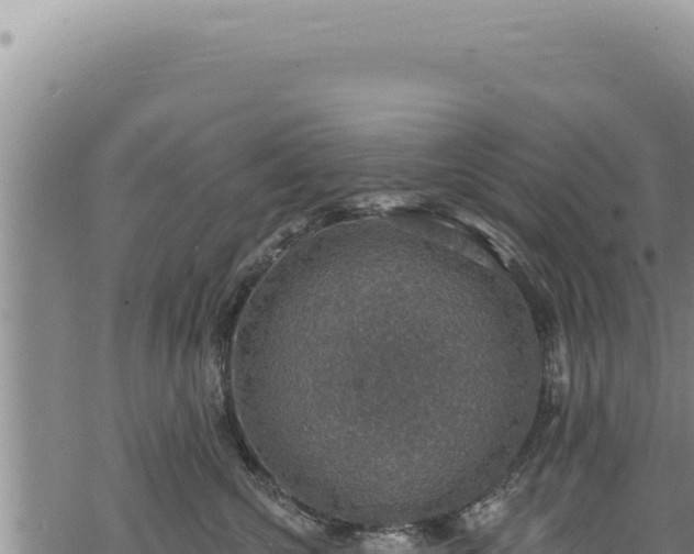 X0000068840572200605121410