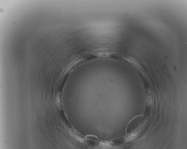 X0000068840573200605121410