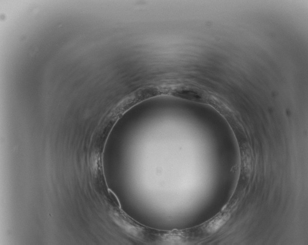 X0000068840574200605121410