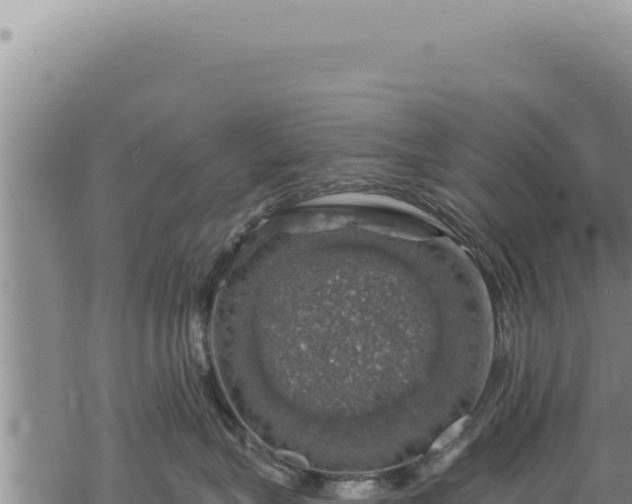 X0000068840575200605121410