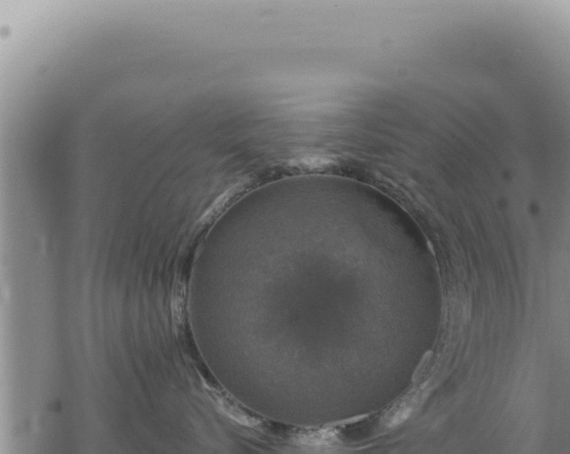 X0000068840576200605121410