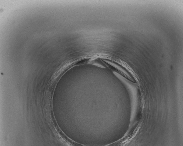 X0000068840577200605121409