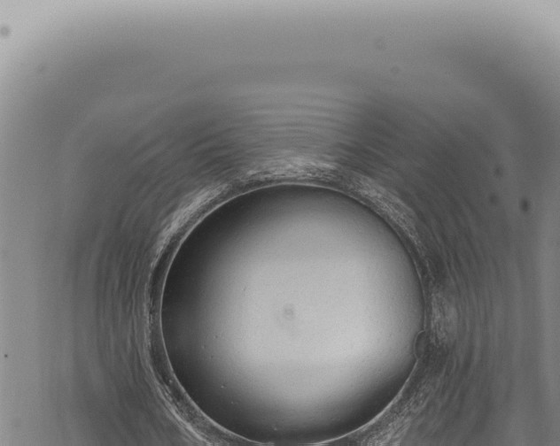 X0000068840578200605121409