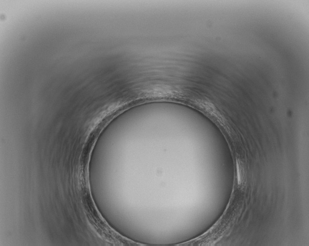 X0000068840579200605121409