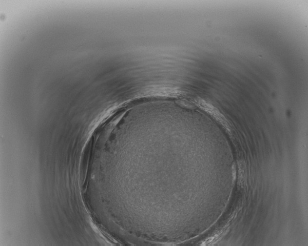 X0000068840580200605121409